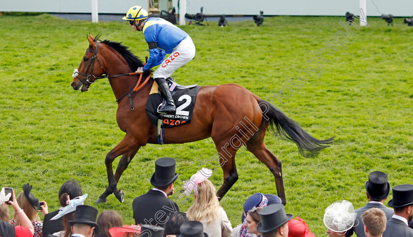 Desert-Crown-0003 
 DESERT CROWN before The Cazoo Derby
Epsom 4 Jun 2022 - Pic Steven Cargill / Racingfotos.com