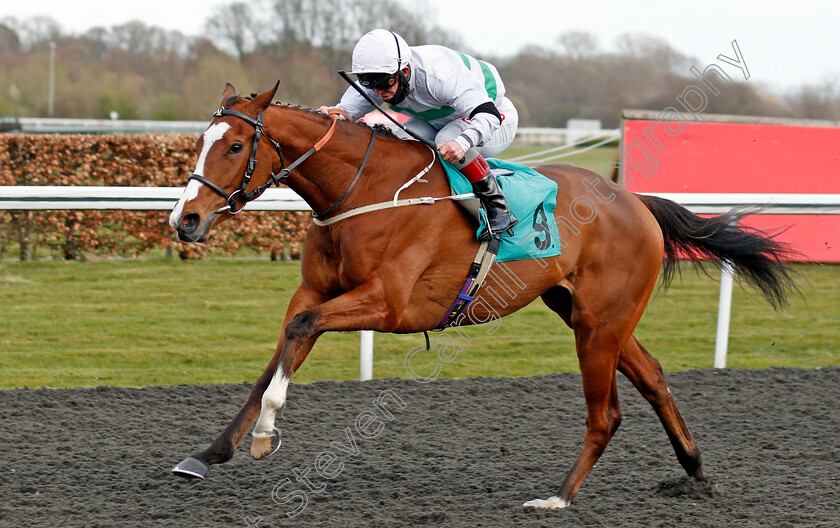 Aventuriere-0003 
 AVENTURIERE (Franny Norton) wins The Play Ladbrokes 1-2-Free On Football Handicap Div1
Kempton 27 Mar 2021 - Pic Steven Cargill / Racingfotos.com