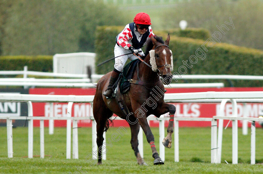 Southfield-Theatre-0002 
 SOUTHFIELD THEATRE (Lily Bradstock) wins The Are You Well, I Thought You Were Open Hunters Chase
Cheltenham 3 May 2019 - Pic Steven Cargill / Racingfotos.com