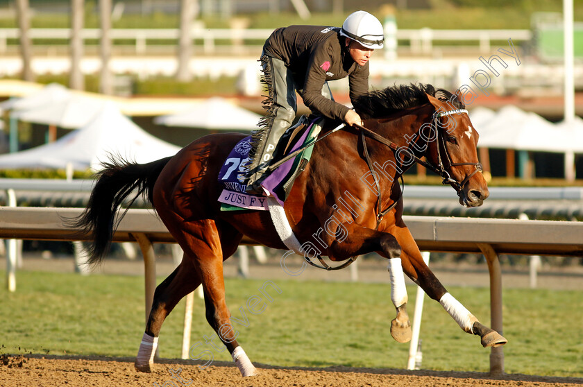 Just-F-Y-I-0003 
 JUST F Y I training for The Breeders' Cup Juvenile Fillies
Santa Anita USA, 30 Oct 2023 - Pic Steven Cargill / Racingfotos.com