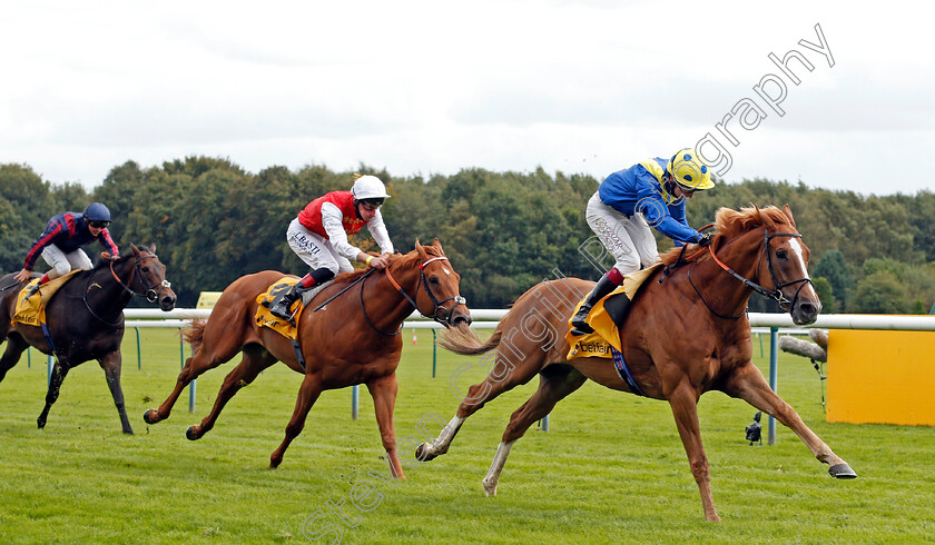 Dream-Of-Dreams-0005 
 DREAM OF DREAMS (Oisin Murphy) beats GOLDEN HORDE (left) in The Betfair Sprint Cup
Haydock 5 Sep 2020 - Pic Steven Cargill / Racingfotos.com