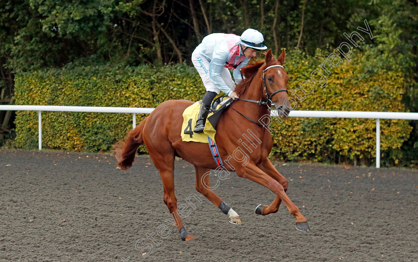 Just-Romeo-0001 
 JUST ROMEO (Richard Kingscote)
Kempton 2 Oct 2024 - pic Steven Cargill / Racingfotos.com