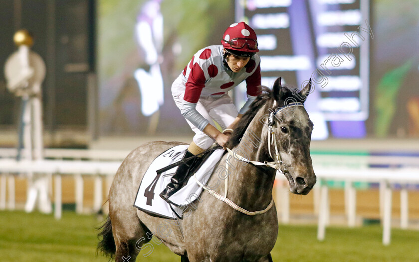 Internationalangel-0001 
 INTERNATIONALANGEL (Luke Morris)
Meydan 3 Feb 2023 - Pic Steven Cargill / Racingfotos.com