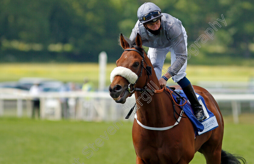 Fighter-Pilot-0002 
 FIGHTER PILOT (Sam James)
York 12 Jun 2021 - Pic Steven Cargill / Racingfotos.com