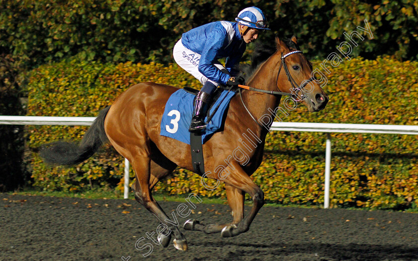 Al-Husn-0001 
 AL HUSN (Jim Crowley) winner of The Unibet British Stallion Studs EBF Fillies Novice Stakes Div1
Kempton 10 Nov 2021 - Pic Steven Cargill / Racingfotos.com