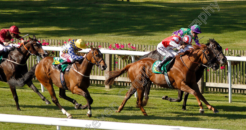 Jack-The-Truth-0001 
 JACK THE TRUTH (Harry Bentley) beats NIBRAS AGAIN (left) in The Trm Speedxcell Handicap
Newmarket 27 Jun 2019 - Pic Steven Cargill / Racingfotos.com