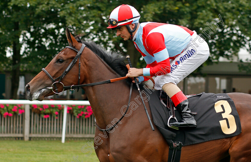 Believe-In-Love-0001 
 BELIEVE IN LOVE (Andrea Atzeni)
Newmarket 13 Jul 2019 - Pic Steven Cargill / Racingfotos.com