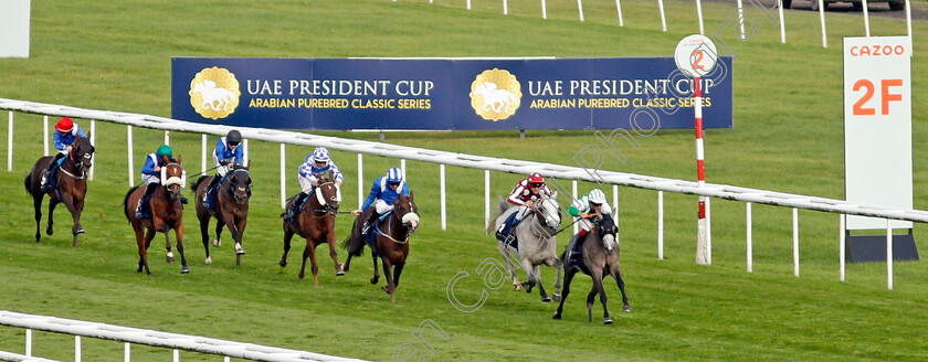 Abbes-0001 
 ABBES (Olivier Peslier) wins The UAE President Cup (G1 for Purebred Arabians)
Doncaster 11 Sep 2021 - Pic Steven Cargill / Racingfotos.com