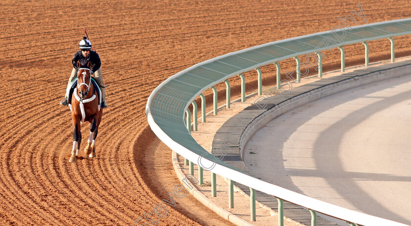 Maximum-Security-0006 
 MAXIMUM SECURITY preparing for The Saudi Cup
Riyadh Racetrack, Kingdom Of Saudi Arabia, 27 Feb 2020 - Pic Steven Cargill / Racingfotos.com