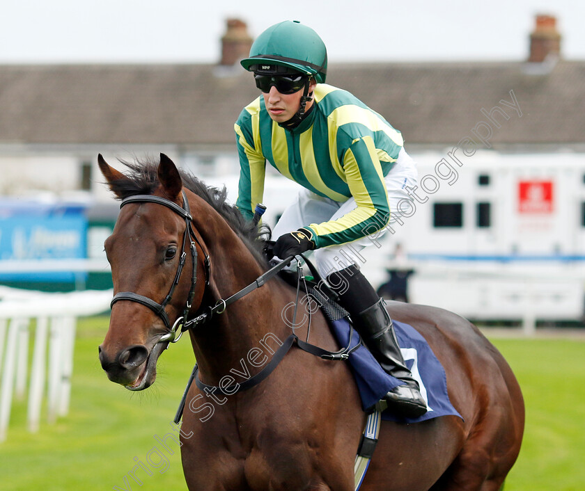 Magnum-Opus-0001 
 MAGNUM OPUS (Ross Coakley)
Yarmouth 20 Sep 2023 - Pic Steven Cargill / Racingfotos.com