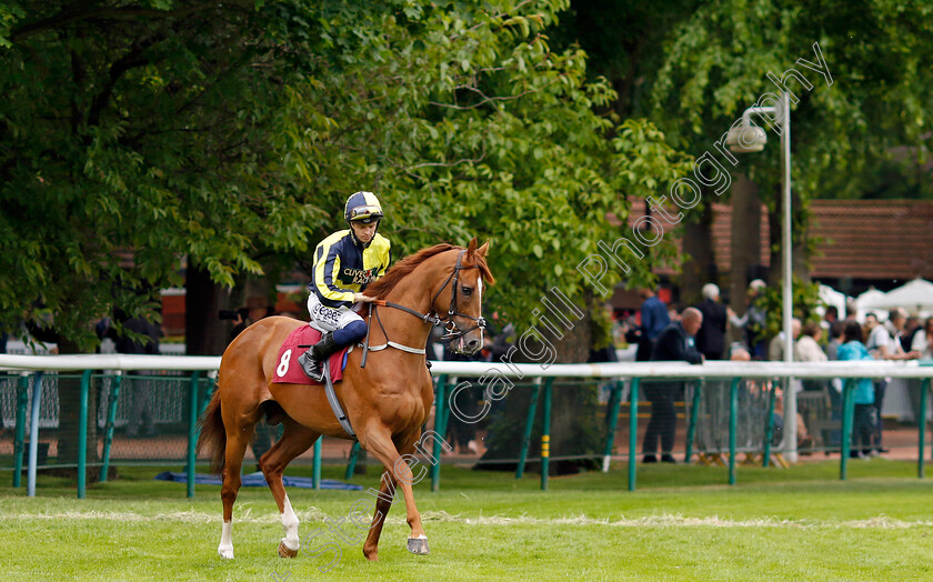 Whoputfiftyinyou-0001 
 WHOPUTFIFTYINYOU (David Probert) winner of The Cazoo Silver Bowl Handicap
Haydock 21 May 2022 - Pic Steven Cargill / Racingfotos.com