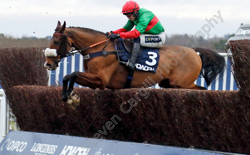 Two-For-Gold-0001 
 TWO FOR GOLD (Jonathan Burke)
Ascot 21 Dec 2024 - Pic Steven Cargill / Racingfotos.com