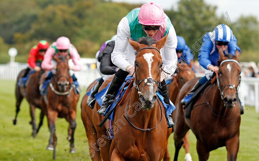 Snow-Shower-0005 
 SNOW SHOWER (James Doyle) wins The Bob McCreery Memorial EBF Quidhampton Maiden Fillies Stakes
Salisbury 5 Sep 2019 - Pic Steven Cargill / Racingfotos.com