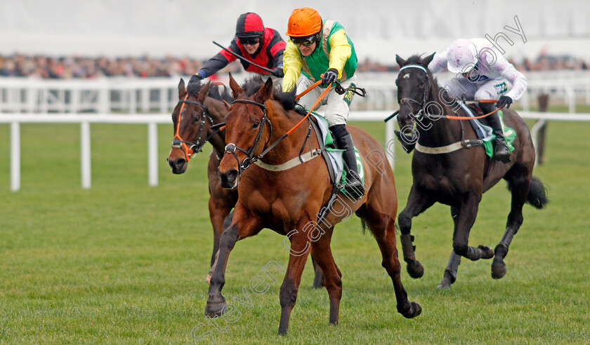 Midnight-Shadow-0003Already-Dipper-Novices-Chase 
 MIDNIGHT SHADOW (Danny Cook) wins The Paddy Power Broken Resolutions Already Dipper Novices Chase
Cheltenham 1 Jan 2020 - Pic Steven Cargill / Racingfotos.com