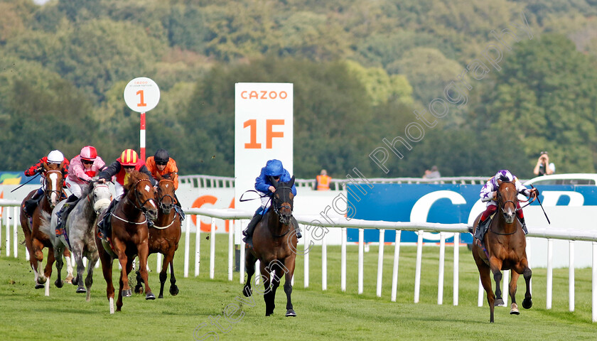 Kinross-0006 
 KINROSS (Frankie Dettori) wins The Cazoo Park Stakes
Doncaster 11 Sep 2022 - Pic Steven Cargill / Racingfotos.com