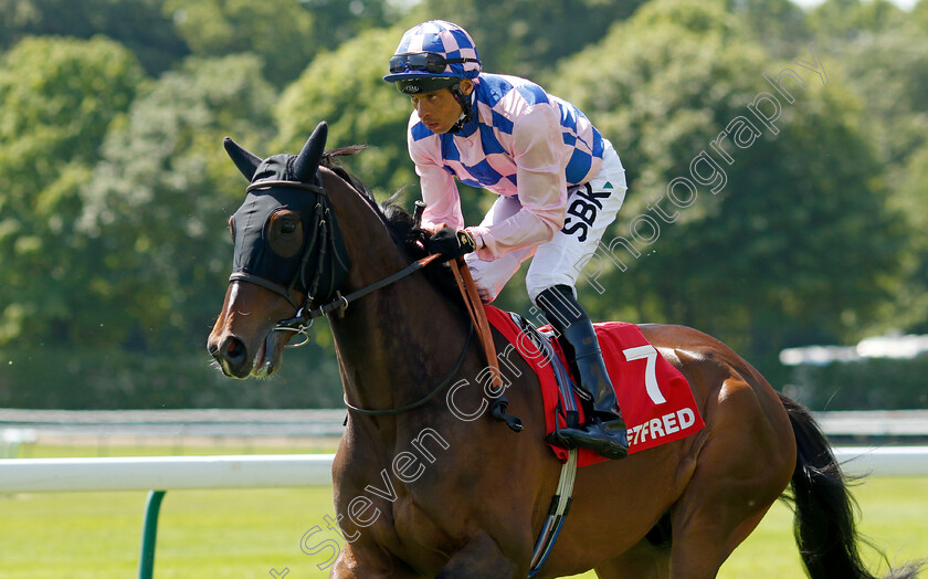 Mountain-Road-0001 
 MOUNTAIN ROAD (Sean Levey)
Haydock 27 May 2023 - Pic Steven Cargill / Racingfotos.com