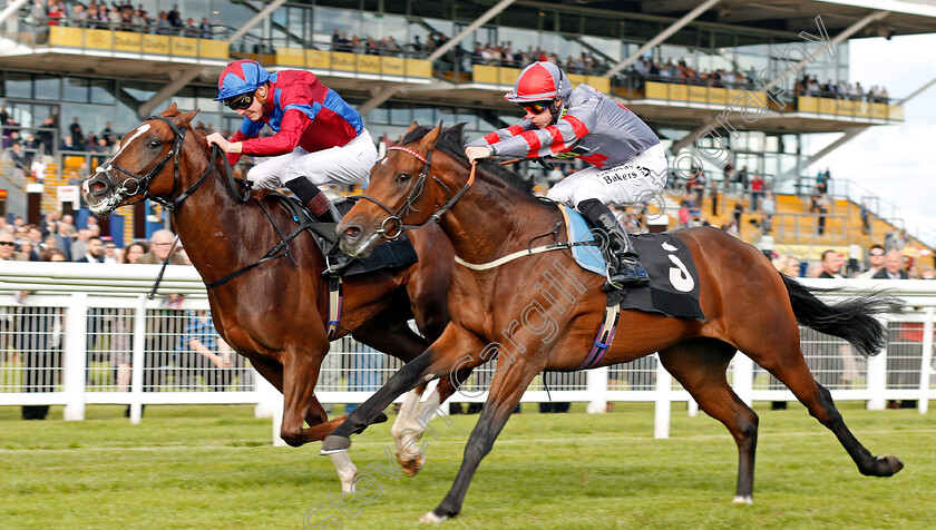 White-Mocha-0003 
 WHITE MOCHA (left, James Doyle) beats KNIGHT TO BEHOLD (right) in The Haynes Hanson & Clark Stakes Newbury 22 Sep 2017 - Pic Steven Cargill / Racingfotos.com