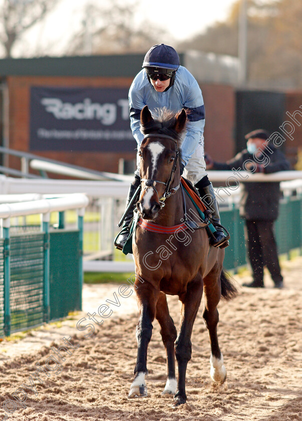 Coolnaugh-Haze-0006 
 COOLNAUGH HAZE (Tom O'Brien)
Warwick 9 Dec 2021 - Pic Steven Cargill / Racingfotos.com