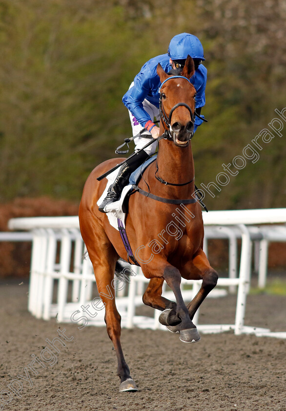 Juneberry-0001 
 JUNEBERRY (Kieran Shoemark)
Kempton 3 Apr 2024 - Pic Steven Cargill / Racingfotos.com