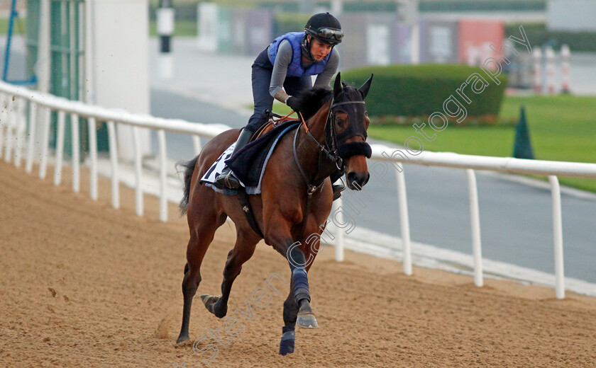 Hala-Abrar-0002 
 HALA ABRAR training at the Dubai Racing Carnival 
Meydan 4 Jan 2024 - Pic Steven Cargill / Racingfotos.com