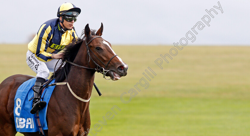 Good-Vibes-0006 
 GOOD VIBES (Richard Kingscote) after The Newmarket Academy Godolphin Beacon Project Cornwallis Stakes
Newmarket 11 Oct 2019 - Pic Steven Cargill / Racingfotos.com