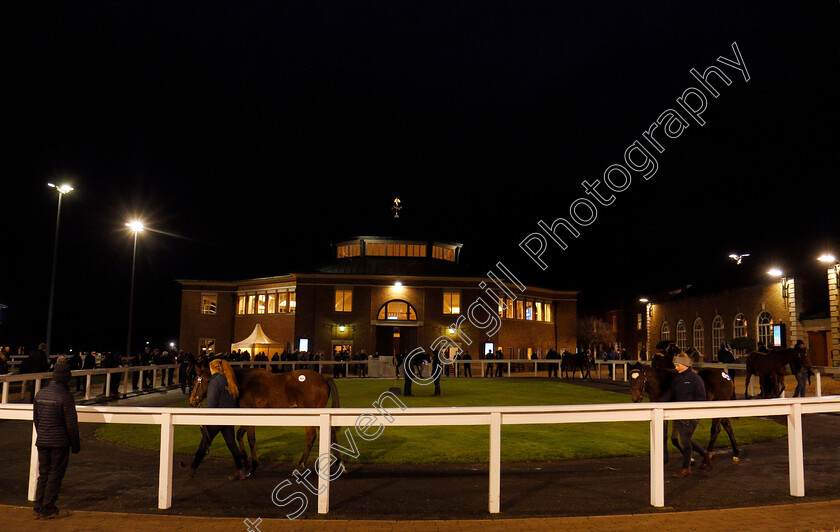 Foals-0006 
 Foals waiting to be sold at Tattersalls December Foal Sale, Newmarket 30 Nov 2017 - Pic Steven Cargill / Racingfotos.com