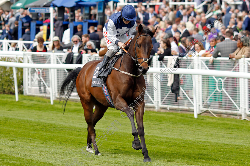 Afterwards-0002 
 AFTERWARDS (Joe Fanning)
Chester 11 May 2023 - Pic Steven Cargill / Racingfotos.com