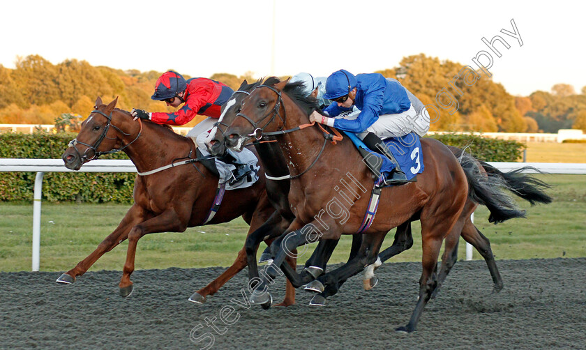 First-View-0006 
 FIRST VIEW (Hector Crouch) beats STANFORD (left) in The 32Red Casino EBF Novice Stakes
Kempton 2 Oct 2019 - Pic Steven Cargill / Racingfotos.com