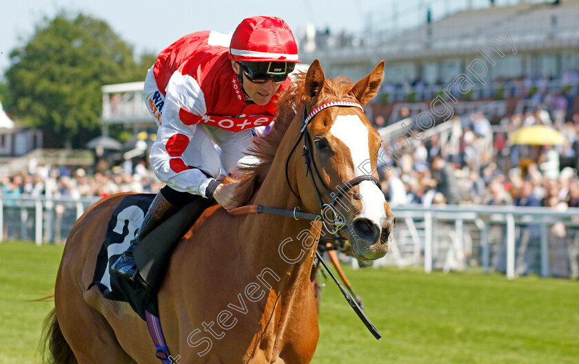 Araminta-0001 
 ARAMINTA (Trevor Whelan) wins The William Hill Height Of Fashion Stakes
Goodwood 26 May 2023 - Pic Steven Cargill / Racingfotos.com