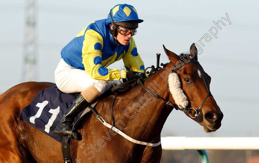 Angel-Palanas-0005 
 ANGEL PALANAS (Jonathan Fisher) wins The Follow Sun Racing On Twitter Handicap
Southwell 11 Dec 2018 - Pic Steven Cargill / Racingfotos.com