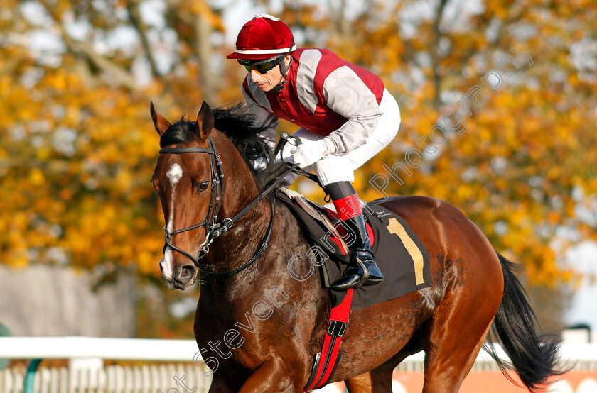 Monty-0003 
 MONTY (Gerald Mosse)
Newmarket 30 Oct 2021 - Pic Steven Cargill / Racingfotos.com