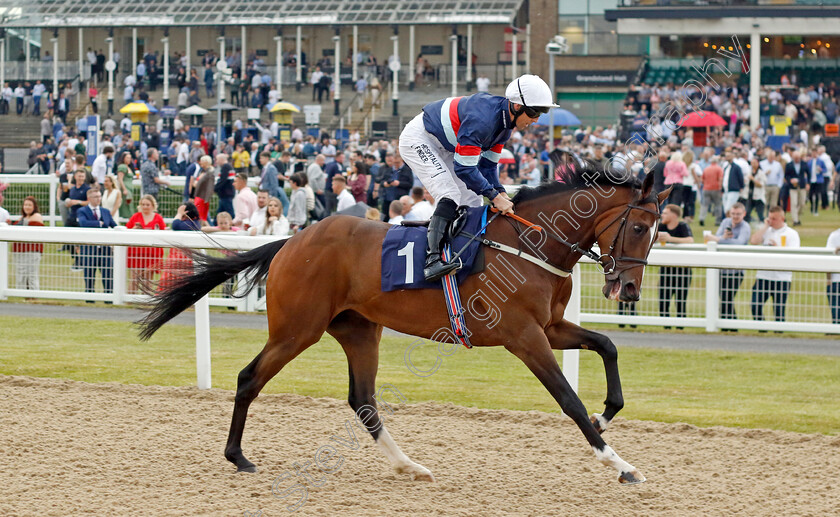 Dual-Idenity 
 DUAL IDENTITY (Ben Curtis)
Newcastle 24 Jun 2022 - Pic Steven Cargill / Racingfotos.com