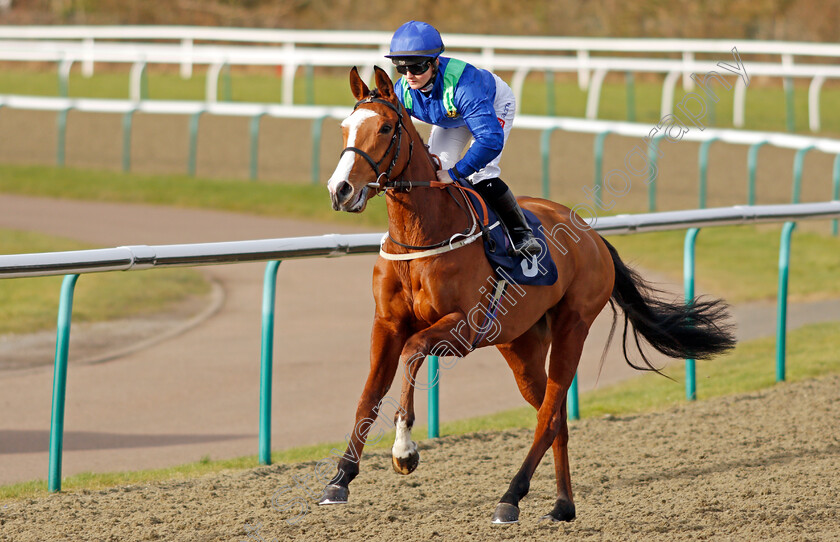 Ask-Peter 
 ASK PETER (Hollie Doyle)
Lingfield 5 Feb 2022 - Pic Steven Cargill / Racingfotos.com