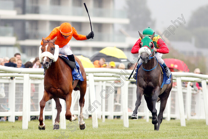 Tahirwah-0002 
 TAHIRWAH (right, Olivier Peslier) beats ZOE DI GALLURA (left) in The DIAR International Stakes
Newbury 29 Jul 2018 - Pic Steven Cargill / Racingfotos.com