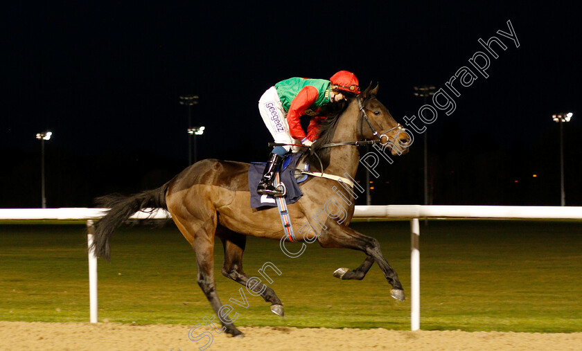 Blame-Culture-0002 
 BLAME CULTURE (David Probert) winner of The Sun Racing Top Tips & Previews Novice Stakes
Wolverhampton 7 Jan 2019 - Pic Steven Cargill / Racingfotos.com