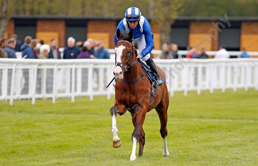 Almoghared-0001 
 ALMOGHARED (Jim Crowley) Salisbury 29 Apr 2018 - Pic Steven Cargill / Racingfotos.com