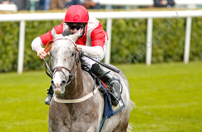 Spring-Loaded-0006 
 SPRING LOADED (Joey Haynes) wins The William Hill Portland Handicap Doncaster 16 Sep 2017 - Pic Steven Cargill / Racingfotos.com