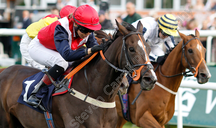 Big-Lachie-0005 
 BIG LACHIE (Jessica Cooley) wins The Silk Series Lady Riders Handicap
Doncaster 13 Sep 2018 - Pic Steven Cargill / Racingfotos.com