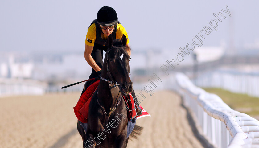 Calif-0004 
 CALIF training for the Bahrain International Trophy
Kingdom of Bahrain 14 Nov 2024 - Pic Steven Cargill / Racingfotos.com