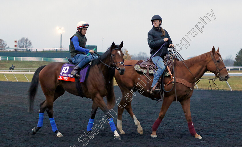 Nashwa-0001 
 NASHWA training for the Breeders' Cup Filly & Mare Turf 
Keeneland USA 2 Nov 2022 - Pic Steven Cargill / Racingfotos.com