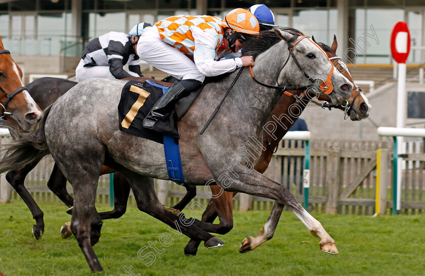 Company-Minx-0006 
 COMPANY MINX (Liam Browne) wins The Betfair Apprentice Handicap
Newmarket 14 May 2021 - Pic Steven Cargill / Racingfotos.com