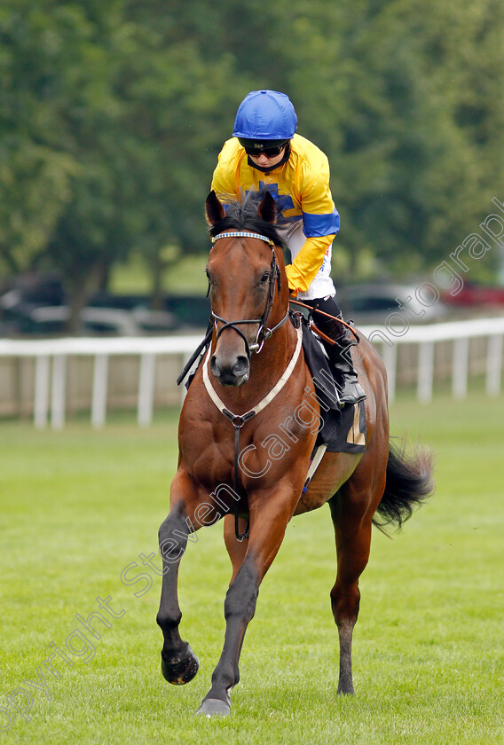 Sweeping-0001 
 SWEEPING (Hollie Doyle)
Newmarket 9 Jul 2021 - Pic Steven Cargill / Racingfotos.com