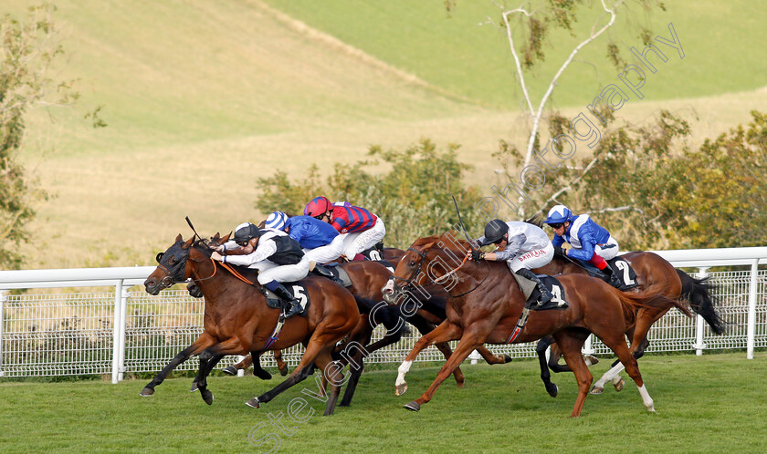 Victory-Chime-0004 
 VICTORY CHIME (Hector Crouch) beats TYSON FURY (right) in The Best of British Events Foundation Stakes
Goodwood 22 Sep 2021 - Pic Steven Cargill / Racingfotos.com