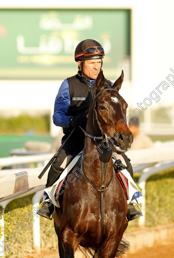 Matilda-Picotte-0001 
 MATILDA PICOTTE training for The 1351 Turf Sprint
King Abdulaziz Racecourse, Saudi Arabia 21 Feb 2024 - Pic Steven Cargill / Racingfotos.com