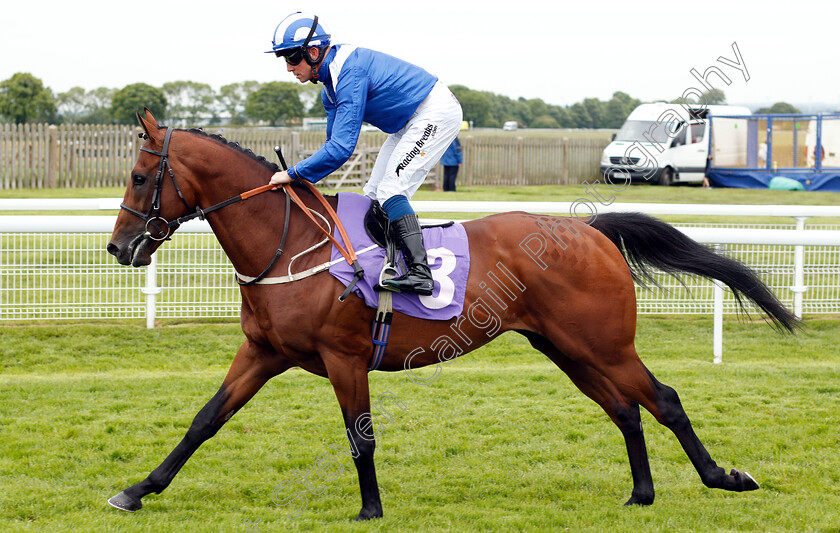 Maydanny-0002 
 MAYDANNY (Jim Crowley)
Beverley 29 May 2019 - Pic Steven Cargill / Racingfotos.com