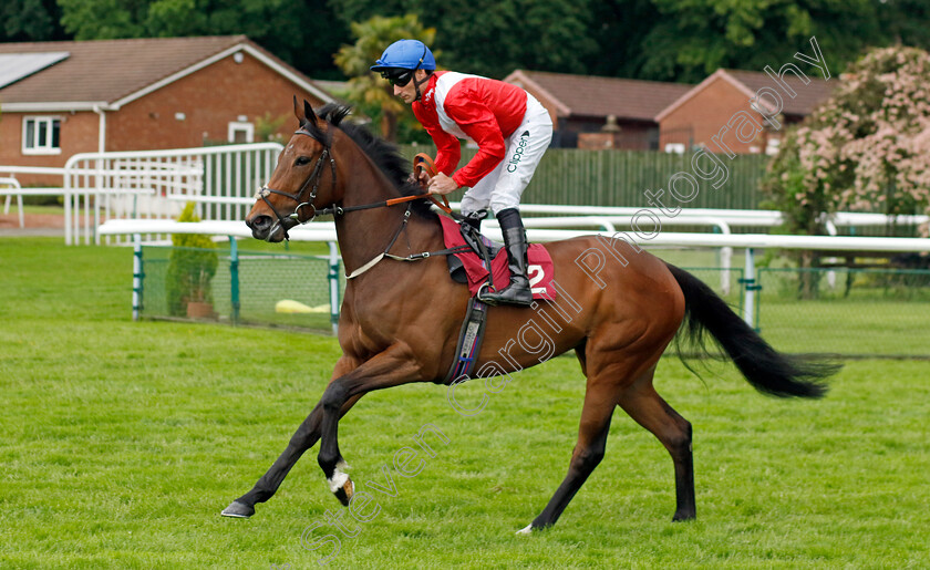 Never-Ending-0005 
 NEVER ENDING (Daniel Tudhope) winner of The Betfred Macmillan Race Day Handicap
Haydock 24 May 2024 - Pic Steven Cargill / Racingfotos.com