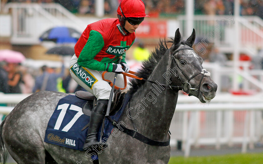 Irish-Hill-0001 
 IRISH HILL (Bryony Frost)
Aintree 14 Apr 2023 - Pic Steven Cargill / Racingfotos.com