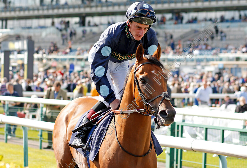 Tis-Marvellous-0001 
 TIS MARVELLOUS (Adam Kirby)
Doncaster 11 Sep 2019 - Pic Steven Cargill / Racingfotos.com