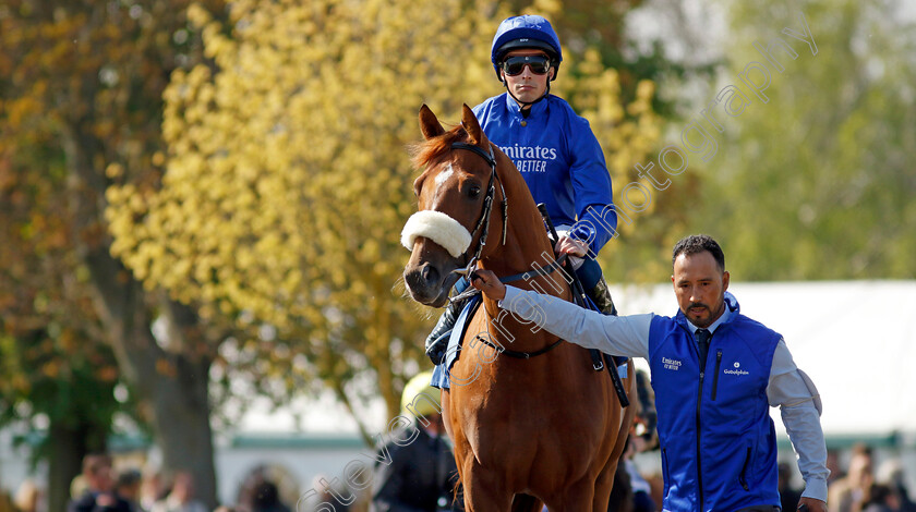 Ruling-Dynasty-0001 
 RULING DYNASTY (William Buick)
Leicester 23 Apr 2022 - Pic Steven Cargill / Racingfotos.com