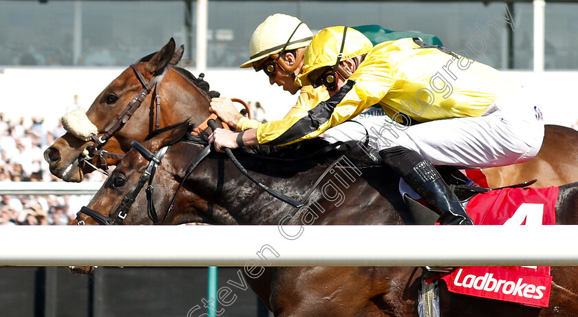 Pizzicato-0004 
 PIZZICATO (farside, Christophe Soumillon) beats DEPUTISE (nearside) in The Ladbrokes 3 Year Old All-Weather Championships Stakes
Lingfield 19 Apr 2019 - Pic Steven Cargill / Racingfotos.com